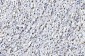 Anti-PCNA Antibody Picoband™ (monoclonal, 2G2)